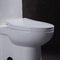 10 inch thô trong nhà vệ sinh dài một mảnh Nhà vệ sinh có chiều cao thoải mái 1 miếng