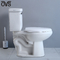 Sứ rửa mặt Hai mảnh Phòng tắm nhà vệ sinh tích hợp Tủ nước Siphon